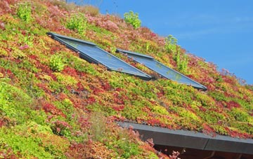 Brotton living roof systems